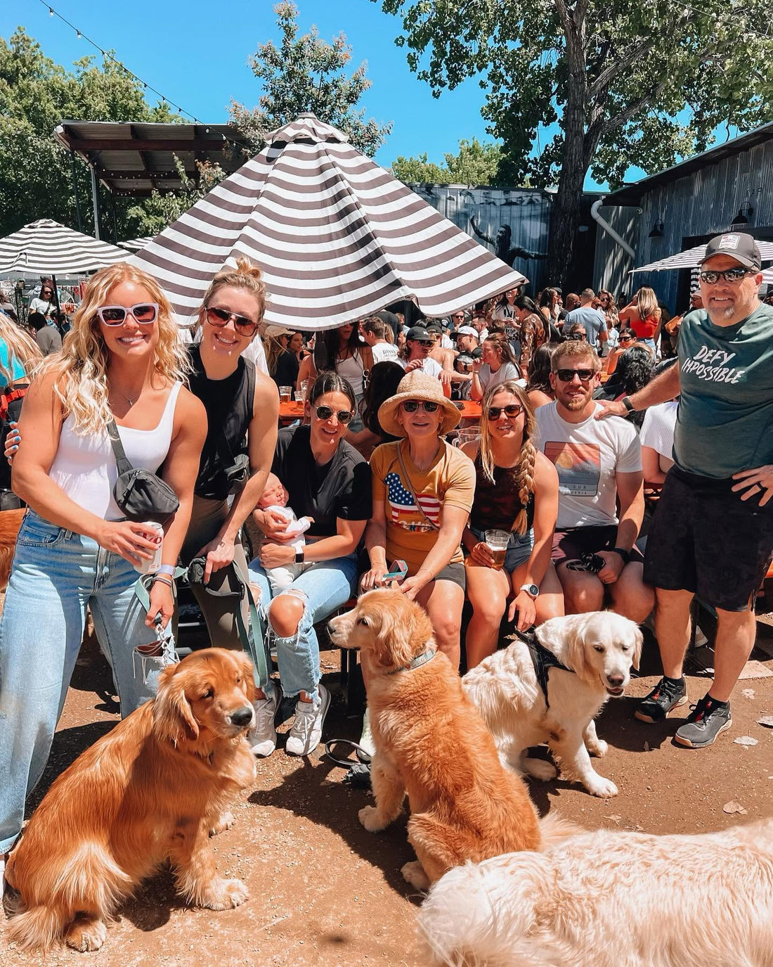 The Fit Old Dog Community